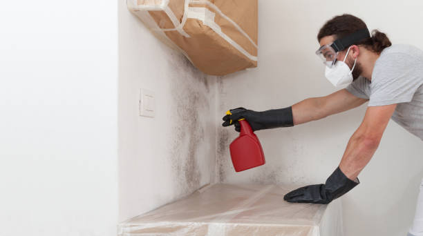 Professional Black Mold Removal technician working in Urbanna, VA
